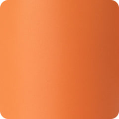 Orange Can + Bottle Cooler 12oz
