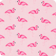 Flamingos Can Coolie