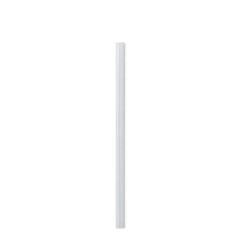 Replacement Straw 20oz Bottle